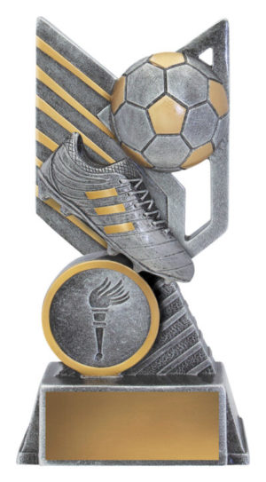 Soccer Rogue Award