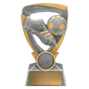 Soccer Armour Award