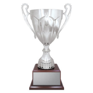 Rubicon Silver Cup on timber base