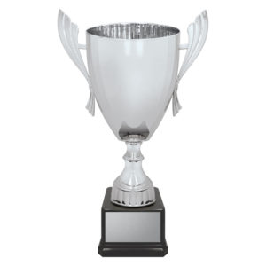 Ironside Silver Cup