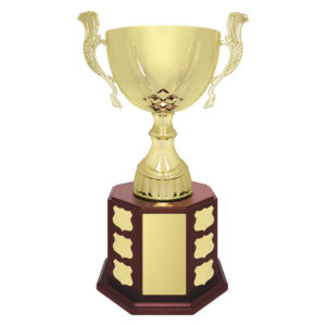 Ensign Cup Perpetual