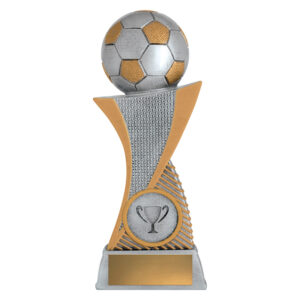 Soccer Alpine Award