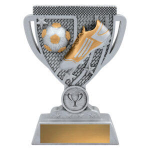 Soccer Safeguard Award